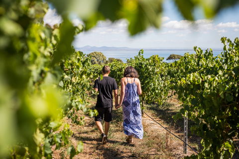 Terindah Estate - Sunshine Coast Tourism 0