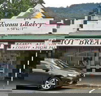 Cheeky Fox - Sunshine Coast Tourism