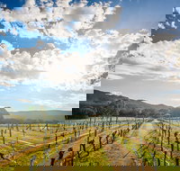 Fallen Giants Vineyard - Sunshine Coast Tourism