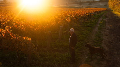 HOOSEGG Cellar Door - Sunshine Coast Tourism 0