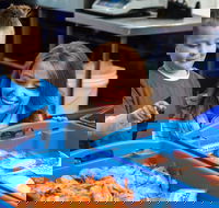 Northern Rivers Seafood - Sunshine Coast Tourism