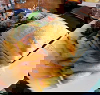 Old City Bank Bar and Brasserie - Holiday Sunshine Coast