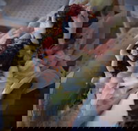 Pockets Street Food - Holiday Sunshine Coast