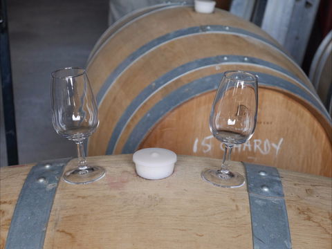 Pyramids Road Wines - Sunshine Coast Tourism 1