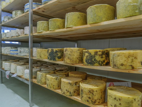 The Wicked Cheese Company - Sunshine Coast Tourism 2