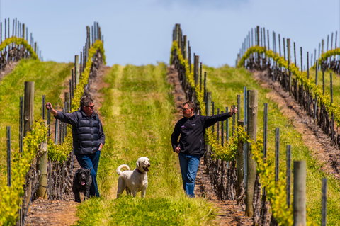 Tim Adams Wines - Sunshine Coast Tourism 2