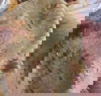 Zaika Tandoor - Sunshine Coast Tourism