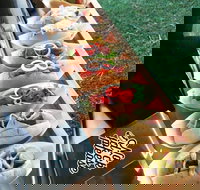 Balter Brewing Company - Holiday Sunshine Coast