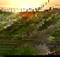 Bennetts on Bellarine Winery - Sunshine Coast Tourism