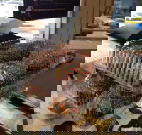 Brumby's - Holland Park - Holiday Sunshine Coast