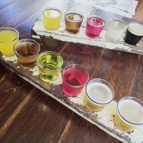Bush Shack Brewery - Sunshine Coast Tourism 0