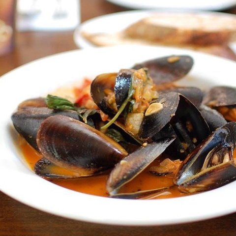Fratelli Fresh - Dawes Point - Sunshine Coast Tourism 0
