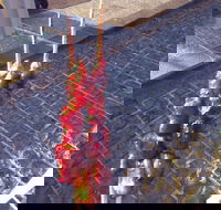 Harvest Coffee - Sunshine Coast Tourism