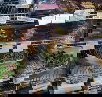 Haynes Street Larder - Holiday Sunshine Coast