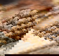 Mayfield Chocolates - Spring Hill - Holiday Sunshine Coast