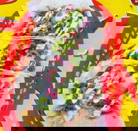 Muchacha - Narrabeen - Sunshine Coast Tourism