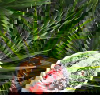 Red Cardinal Cafe and Catering - Sunshine Coast Tourism