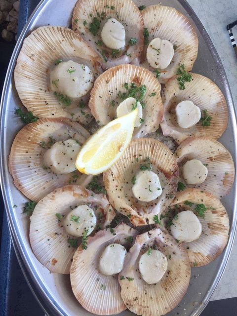 The Deck On Parkyn - Holiday Sunshine Coast 0