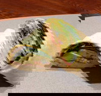 Wrap N Roll - Robina - Sunshine Coast Tourism