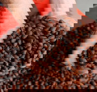 Zokoko Chocolate and Espresso Cafe - Sunshine Coast Tourism