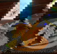 Cocina Mexican Grill and Cantina - Sunshine Coast Tourism