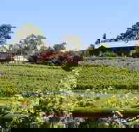 djinta djinta Winery - Sunshine Coast Tourism