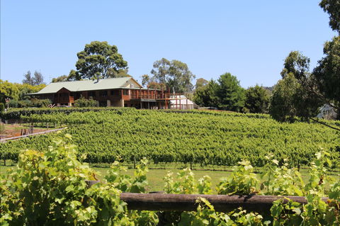 Djinta Djinta Winery - Sunshine Coast Tourism 0