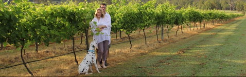Greenway Wines - Holiday Sunshine Coast 1