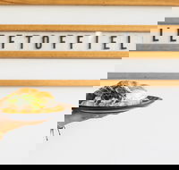 Left of Field - Holiday Sunshine Coast