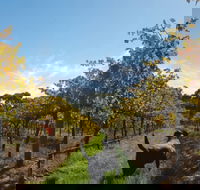 Ruddenklau Wines - Holiday Sunshine Coast