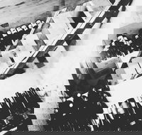 The Cordial Bar - Sunshine Coast Tourism