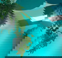 Upsy Daisy - Holiday Sunshine Coast