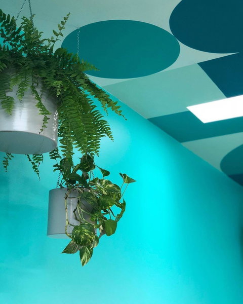 Upsy Daisy - Sunshine Coast Tourism 0