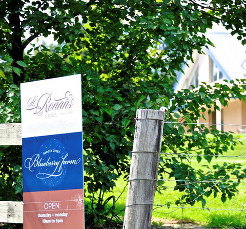 Badger Creek Blueberry Winery - Sunshine Coast Tourism 1