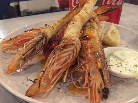 Chefs Of Tandoori - Holiday Sunshine Coast 0
