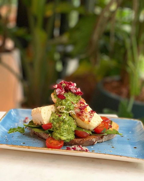 Green Moustache - Sunshine Coast Tourism 0