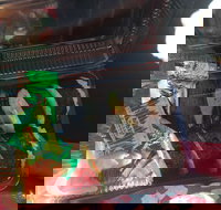 Iron Chef Dine-In  Takeaway - Sunshine Coast Tourism