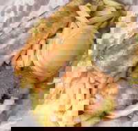 JFC - Sunshine Coast Tourism