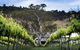 Mount Majura Vineyard - thumb 0