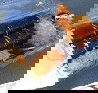 Mr Sushi - Sunshine Coast Tourism