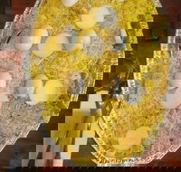 Swadesh - Holiday Sunshine Coast