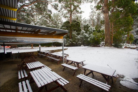 Waterfalls Cafe & Gallery - Sunshine Coast Tourism 0