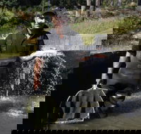 41 Degrees South Tasmania - Sunshine Coast Tourism