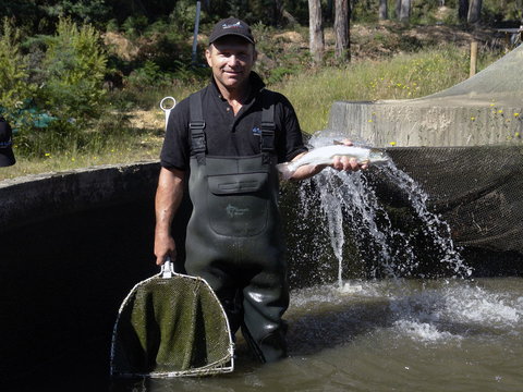 41 Degrees South Tasmania - Holiday Sunshine Coast 0