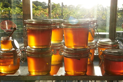 Barnyard1978 - Sunshine Coast Tourism 2