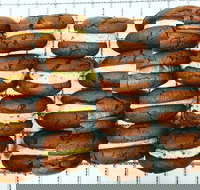 Buttercream Bakery - Holiday Sunshine Coast