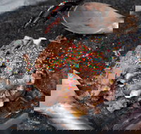 Cold Rock Ice Creamery - Surfers Paradise - Sunshine Coast Tourism