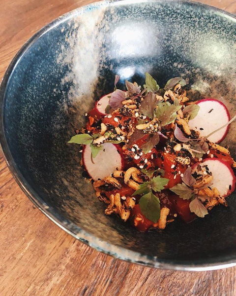 Leaves And Fishes - Holiday Sunshine Coast 2