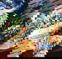 Luxe Fish - Sunshine Coast Tourism