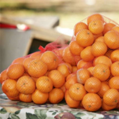Mathoura Mandarins - Sunshine Coast Tourism 0